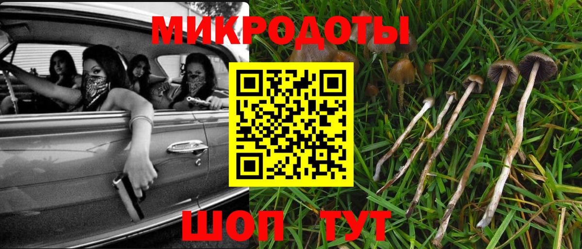 Верхняя Пышма  Псилоцибиновые грибы ЛСД  Галлюциногенные грибы Psilocybe  Вход с VPN 