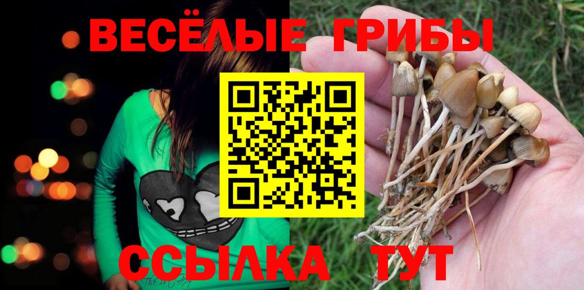 Галлюциногенные грибы ЛСД Верхняя Пышма